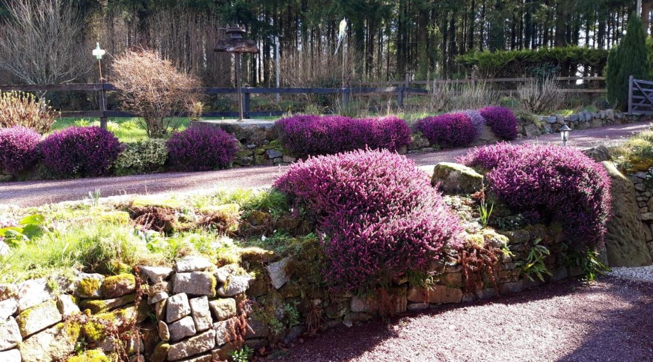 Le Petit Bois Normand - Chambre D'Hote Bed & Breakfast Champ-du-Boult Exterior foto